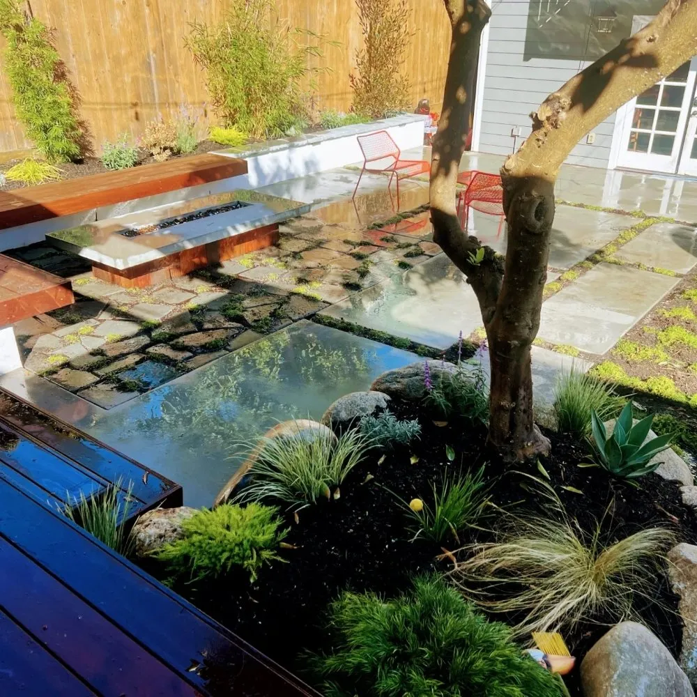 Affordable lawn care service experts serving San Francisco, CA - Shambhala Landscapes