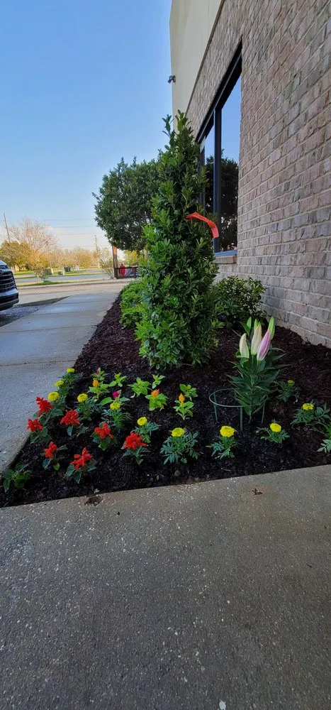 Top-rated landscaping services in Semmes, AL - Shamp Services