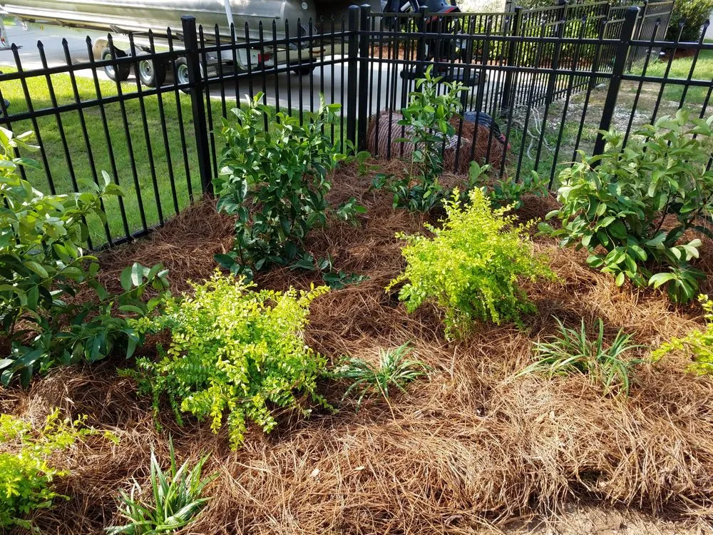 Professional landscape installation experts serving Semmes, AL - Shamp Services