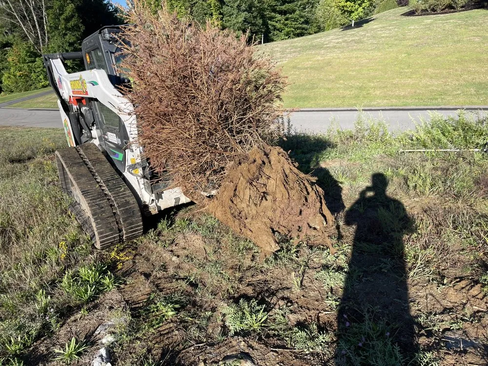 Custom yard maintenance in Bow, NH - Shampney & Son's Four Seasons Landscaping