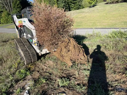 Shampney & Son's Four Seasons Landscaping