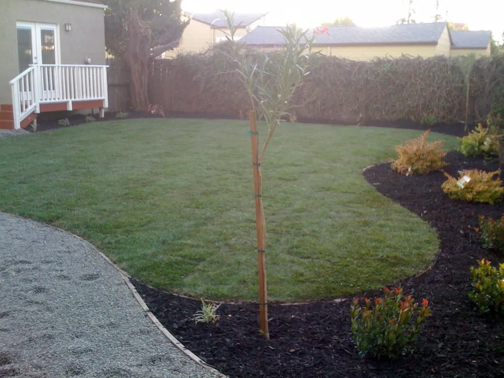 Custom landscape design near you in Benicia, CA by Shamrock Landscape