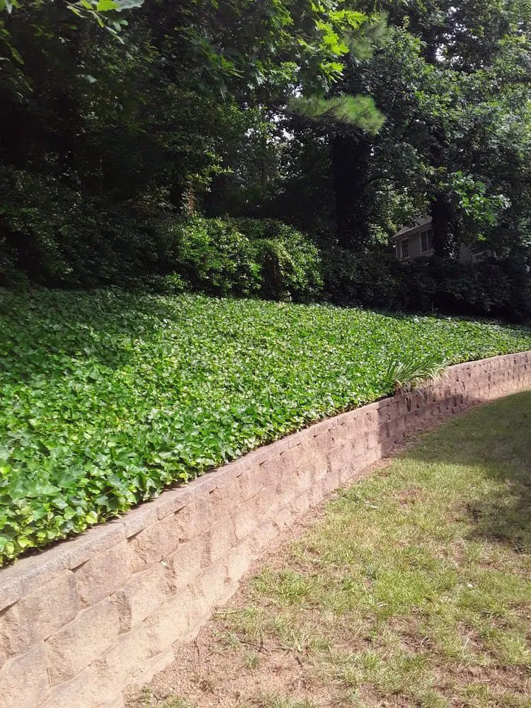 Reliable landscape installation experts serving Marietta, GA - Shamrock Landscape