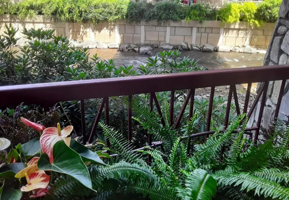 Professional landscape design experts serving Marietta, GA - Shamrock Landscape