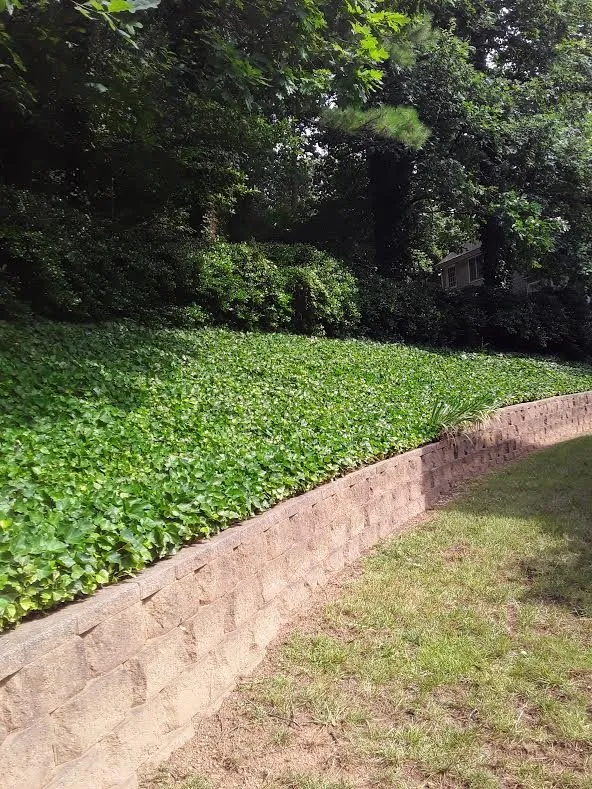 Top-rated lawn mowing service in Marietta, GA - Shamrock Landscape