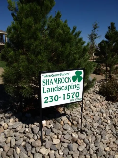 Trusted landscaping services in Dayton, NV by Shamrock Landscaping