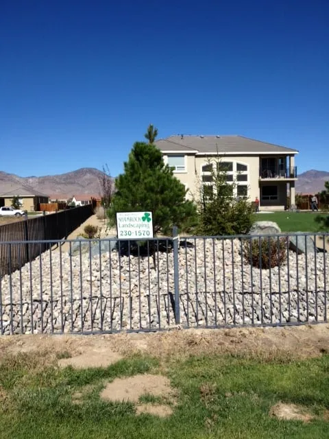 Expert yard maintenance in Dayton, NV by Shamrock Landscaping