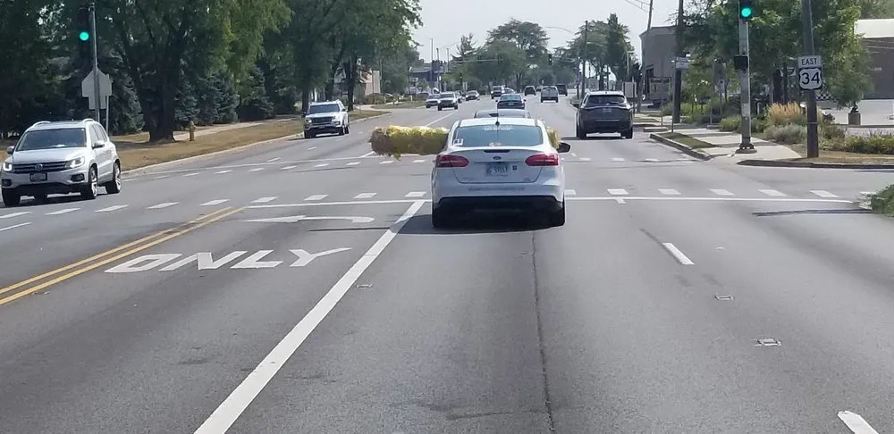 Professional landscape design experts serving Elburn, IL - Shamrock Landscaping