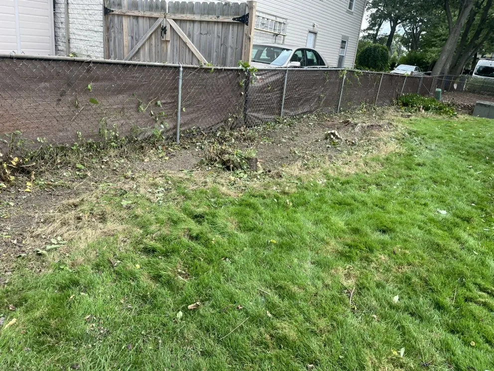 Affordable lawn care service for beautiful yards across Westland, MI - Shamrock Landscaping Solutions