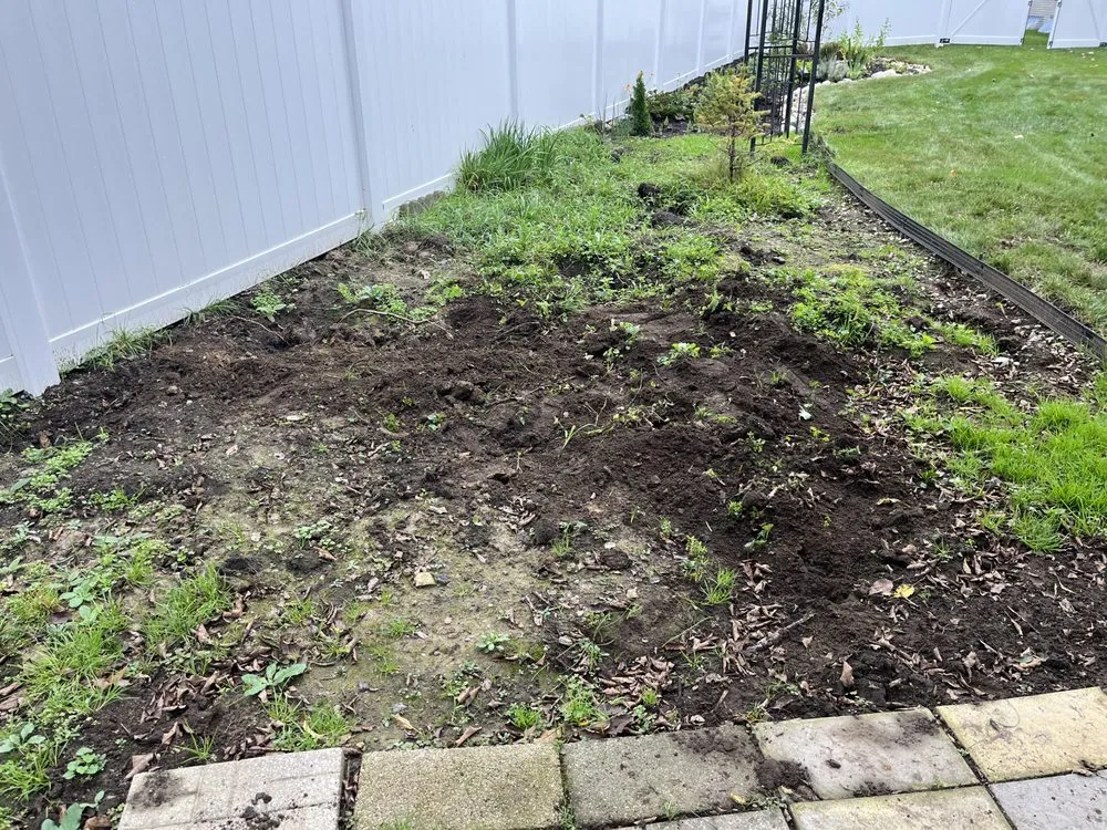 Trusted yard maintenance for homes in Westland, MI by Shamrock Landscaping Solutions