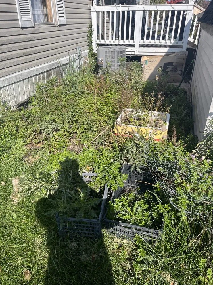 Local garden landscaping experts serving Westland, MI - Shamrock Landscaping Solutions