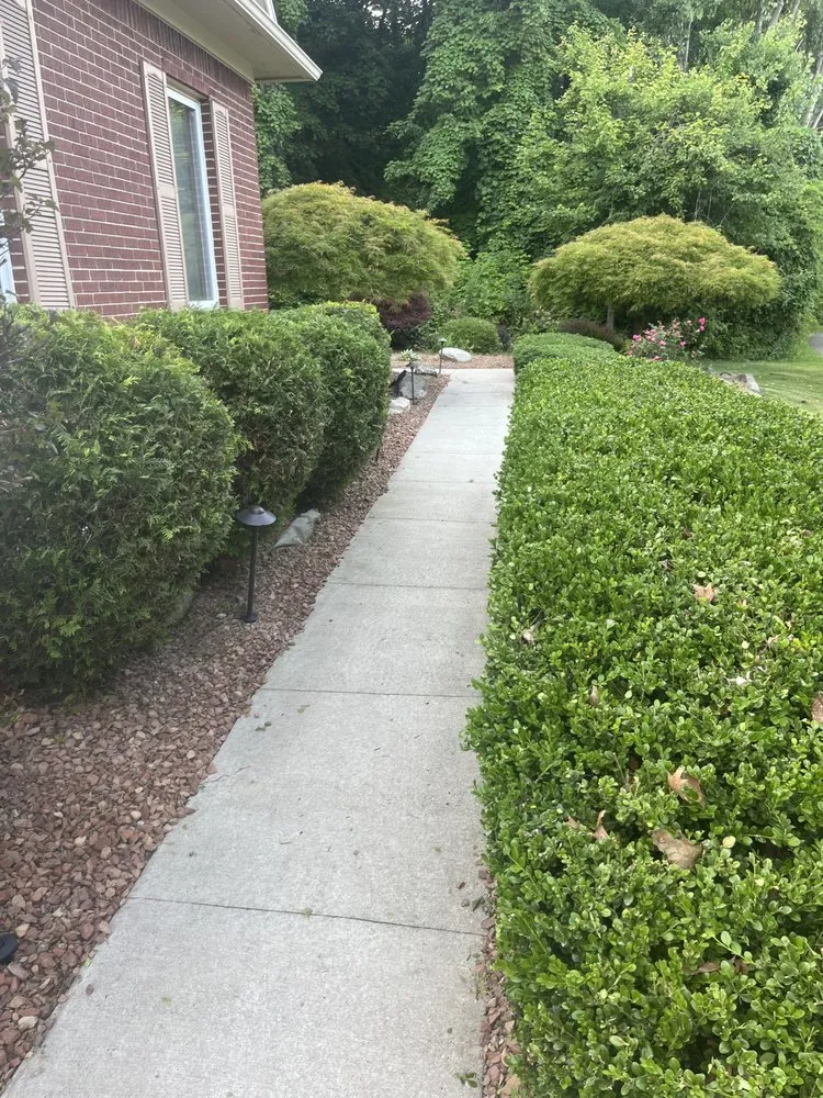 Trusted landscaping services with custom design across Westland, MI - Shamrock Landscaping Solutions