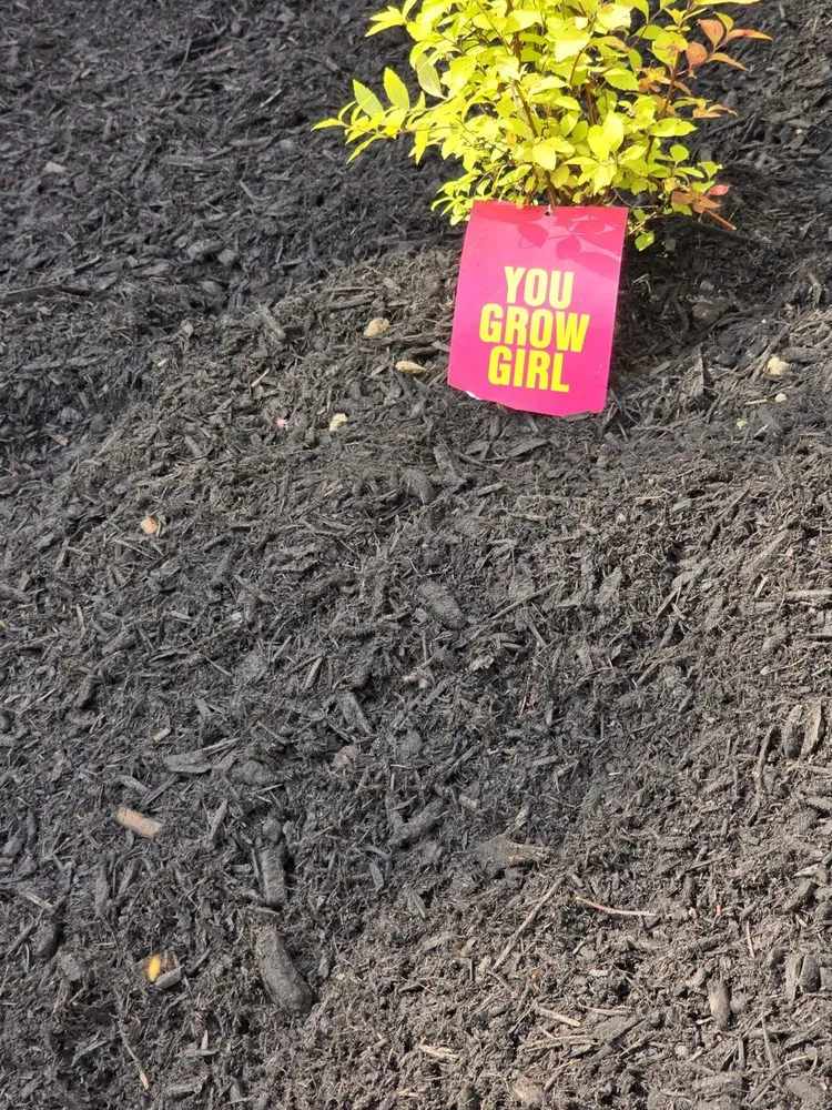 Professional lawn mowing service in Orchard Park, NY - Shamrock