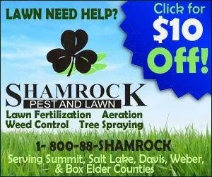 Custom outdoor landscaping in Ogden, UT by Shamrock Pest and Lawn Services