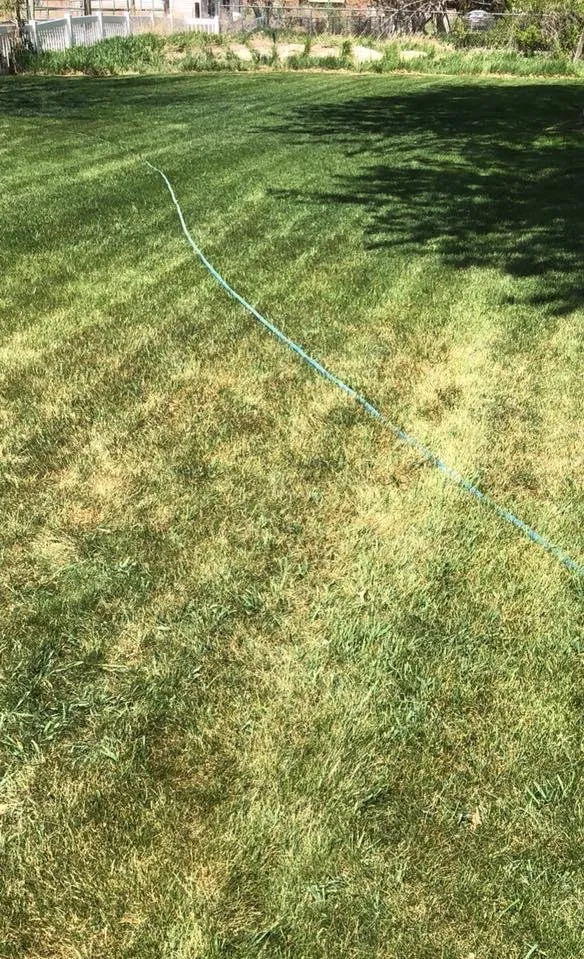 Local outdoor landscaping in Ogden, UT - Shamrock Pest and Lawn Services