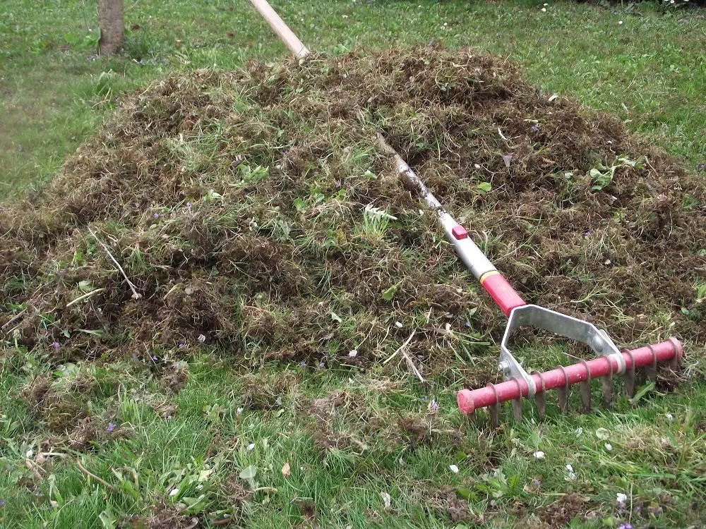 Top-rated residential landscaping in Ogden, UT by Shamrock Pest and Lawn Services