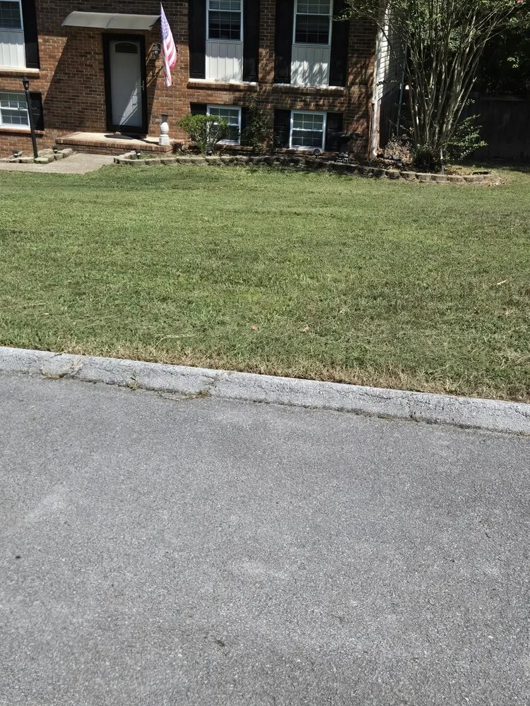 Local landscape design in Soddy-Daisy, TN - Shamrock Scapes