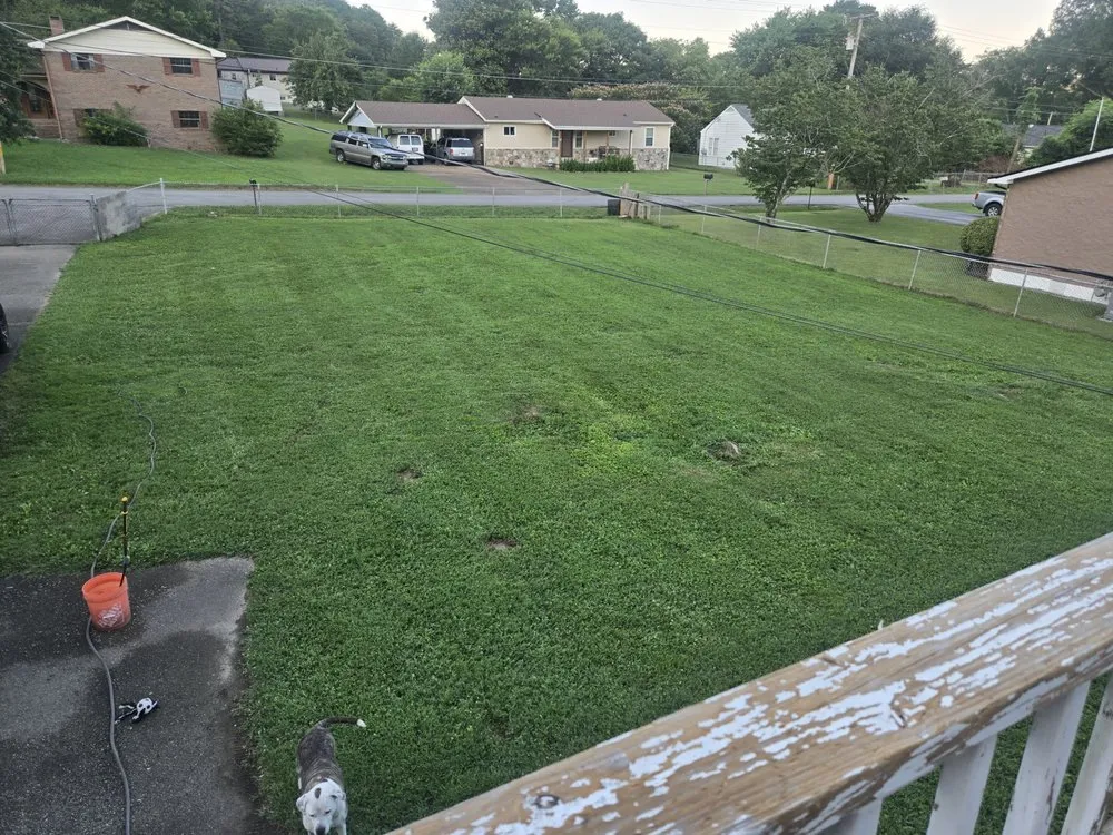 Affordable landscaping services for homes across Soddy-Daisy, TN - Shamrock Scapes