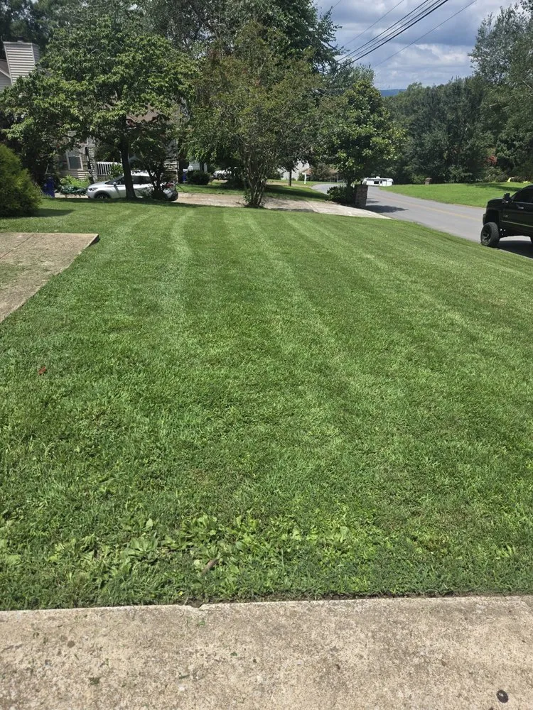 Custom lawn care service in Soddy-Daisy, TN - Shamrock Scapes