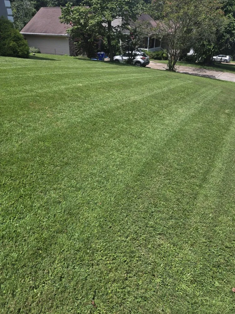 Trusted residential landscaping for beautiful yards across Soddy-Daisy, TN - Shamrock Scapes