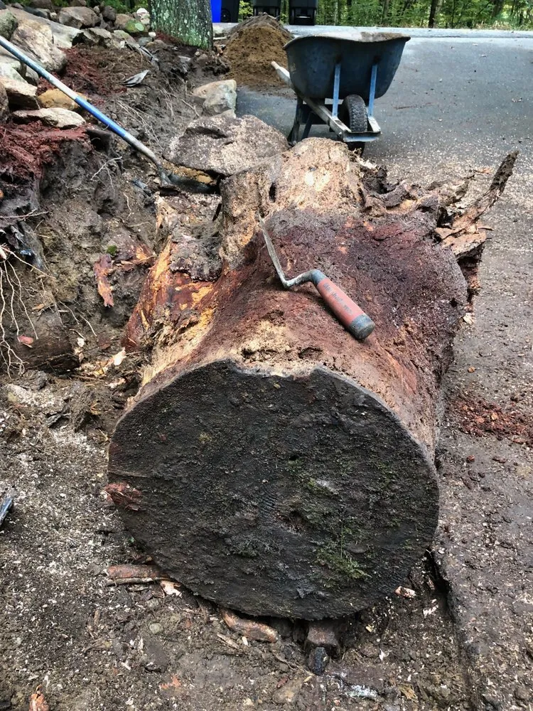 Expert lawn care service in Bethel, CT by ShamROCKS Masonry & Landscaping