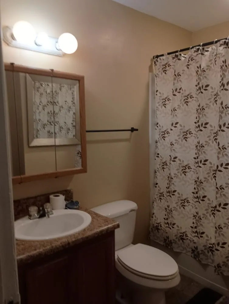 Top-rated yard cleanup service in Blacksburg, SC - Shane and Sons