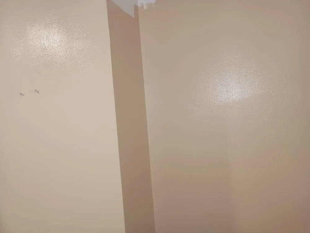 Expert lawn care service in Blacksburg, SC - Shane and Sons