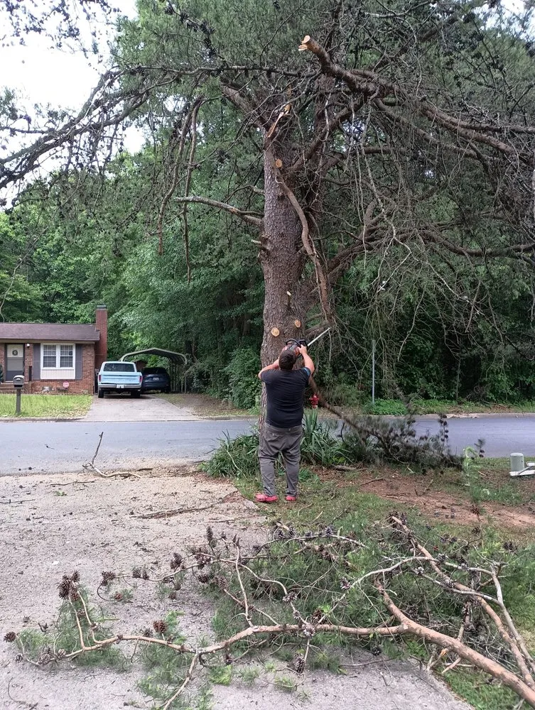 Professional yard maintenance in Blacksburg, SC - Shane and Sons