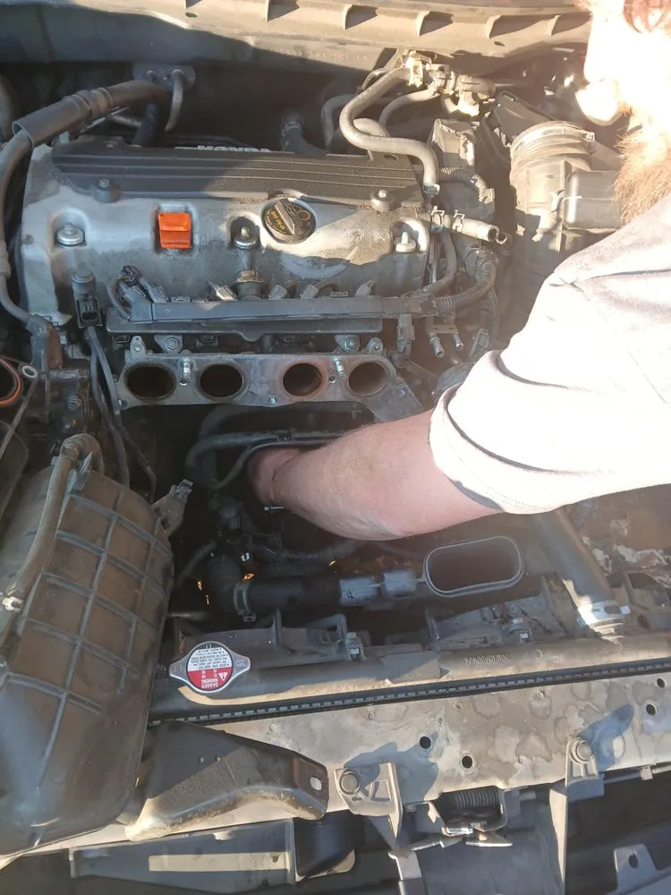 Professional yard maintenance with custom design in Blacksburg, SC by Shane and Sons