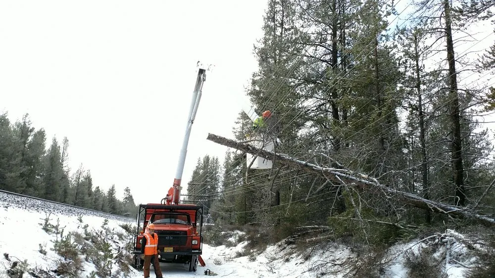 Expert yard cleanup service experts serving Klamath Falls, OR - Shane Eric Jarvis Expert Tree Care