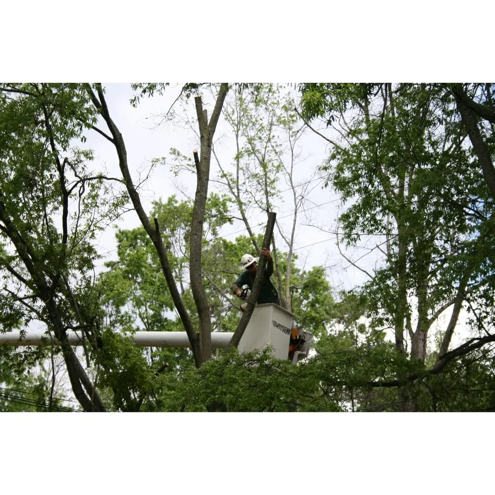 Local garden landscaping experts serving Klamath Falls, OR - Shane Eric Jarvis Expert Tree Care