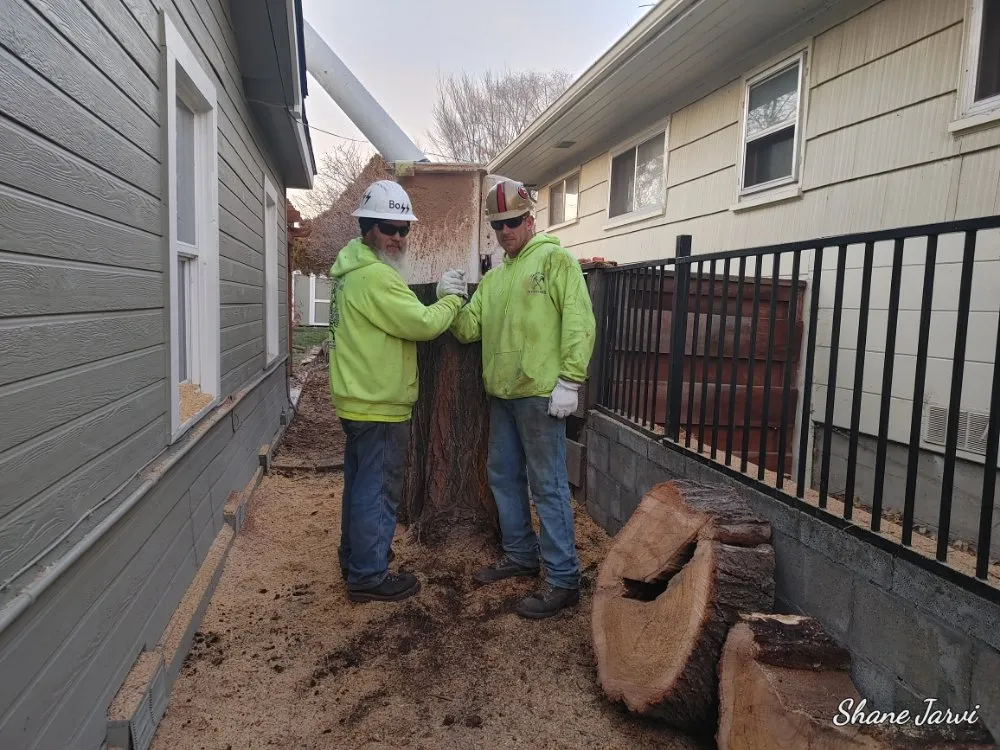 Expert landscape installation in Klamath Falls, OR - Shane Eric Jarvis Expert Tree Care