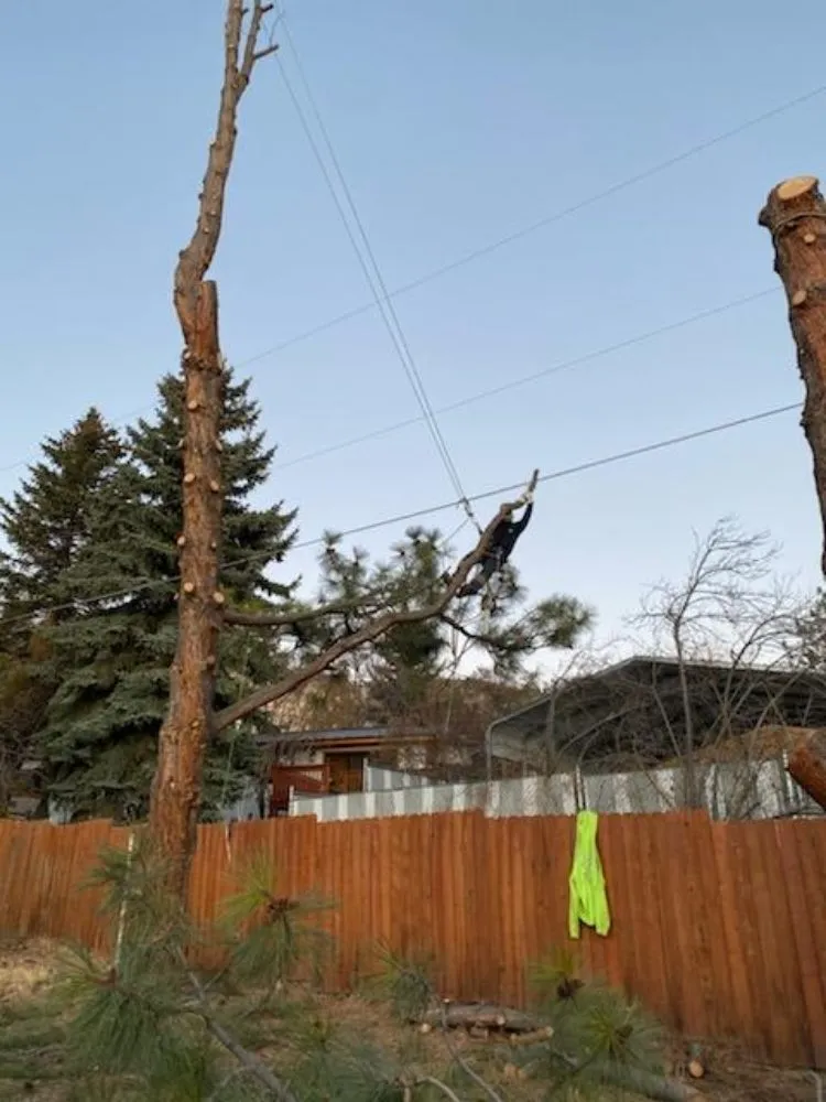 Top-rated lawn mowing service in Klamath Falls, OR by Shane Eric Jarvis Expert Tree Care