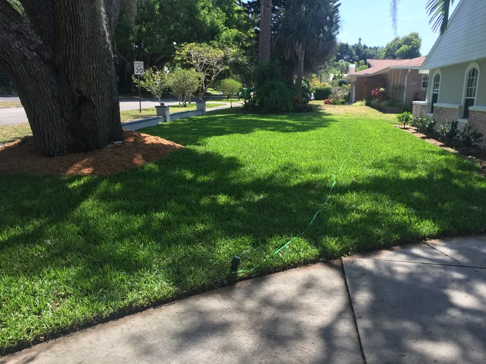 Reliable yard cleanup service experts serving Sarasota, FL - Shane Horner Lawn Care
