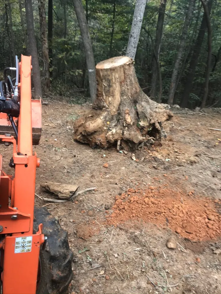 Professional landscape installation for outdoor upgrades in MILLERS CREEK, NC by Shane Miller & Son Services