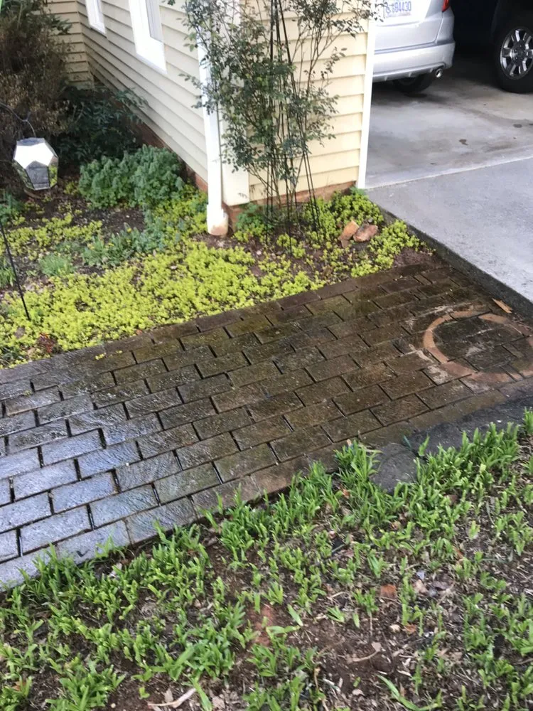 Reliable yard cleanup service for homes in MILLERS CREEK, NC by Shane Miller & Son Services