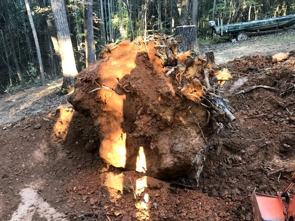 Reliable landscape installation for beautiful yards across MILLERS CREEK, NC - Shane Miller & Son Services