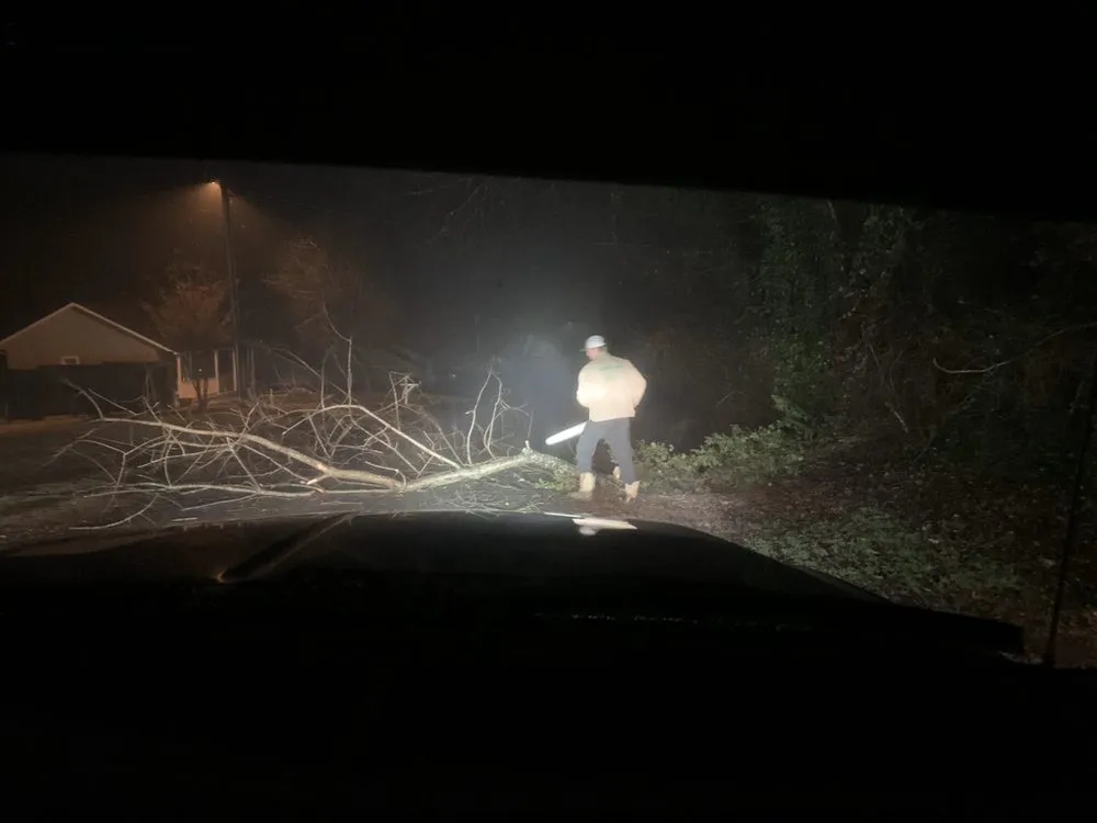 Affordable yard cleanup service in MILLERS CREEK, NC - Shane Miller & Son Services