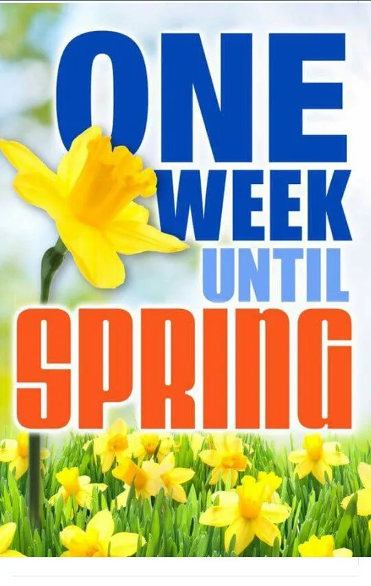 Professional yard maintenance for year-round maintenance in Millers Creek, NC by Shane Miller and Son Lawncare & Landscaping