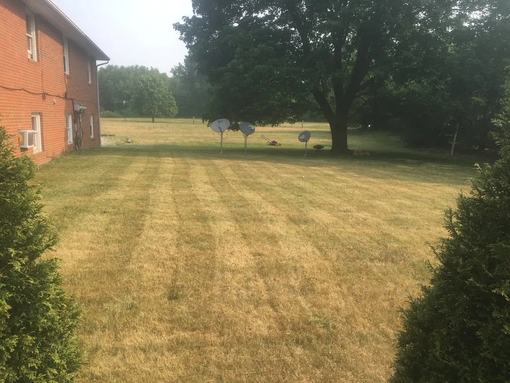 Professional yard maintenance in Canton, OH by Shane’s All Around Improvements