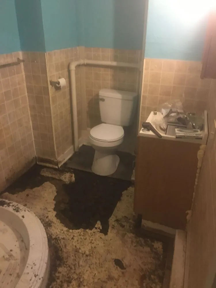 Trusted yard maintenance in Canton, OH - Shane’s All Around Improvements