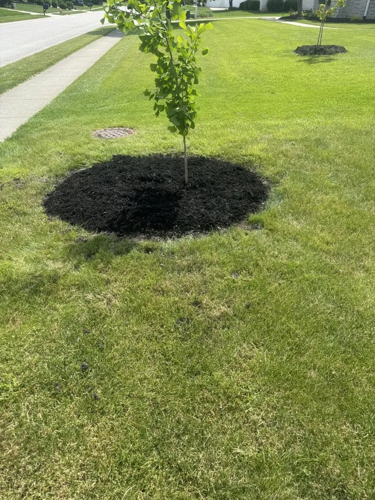 Local yard maintenance experts serving Danville, IN - Shane’s Handyman Service