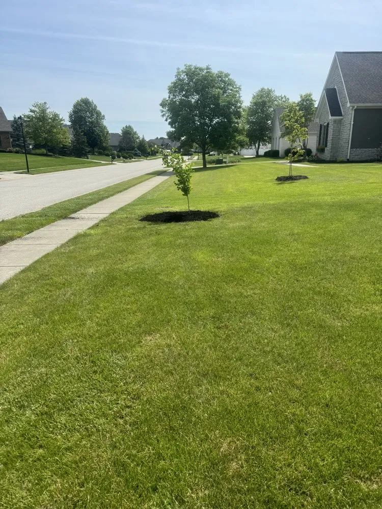 Trusted residential landscaping for beautiful yards in Danville, IN by Shane’s Handyman Service