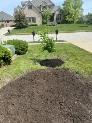 Shane’s Handyman Service Logo