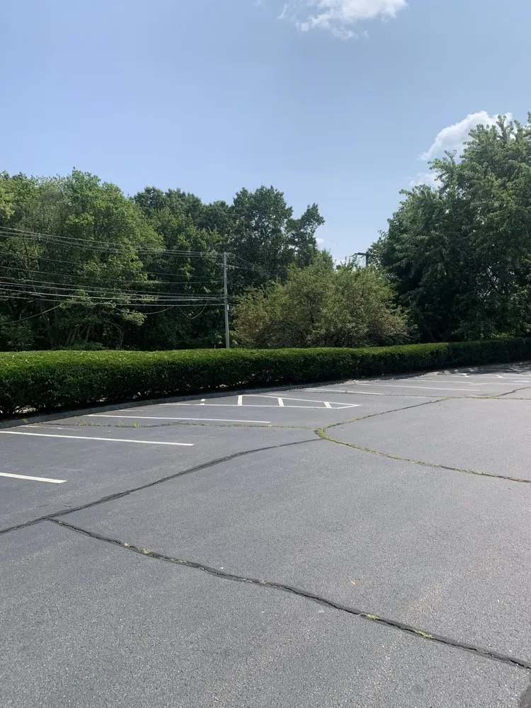 Affordable landscaping services in Arlington, MA - Shane's Landscaping