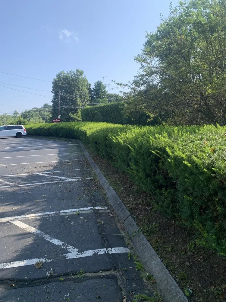 Local yard cleanup service experts serving Arlington, MA - Shane's Landscaping