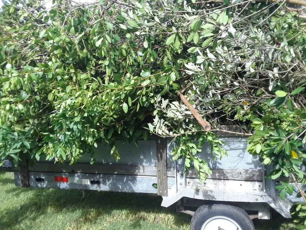 Top-rated landscaping services in Bradenton, FL - Shane's Lawn And Handyman Service