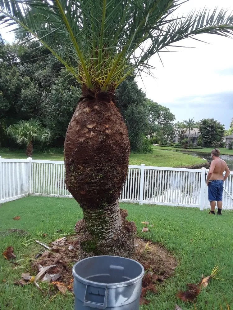 Custom landscape installation experts serving Bradenton, FL - Shane's Lawn And Handyman Service