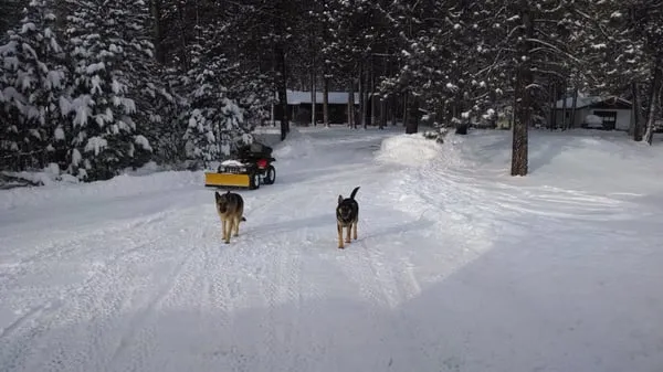 Shanes Lawn Care and Snow Removal