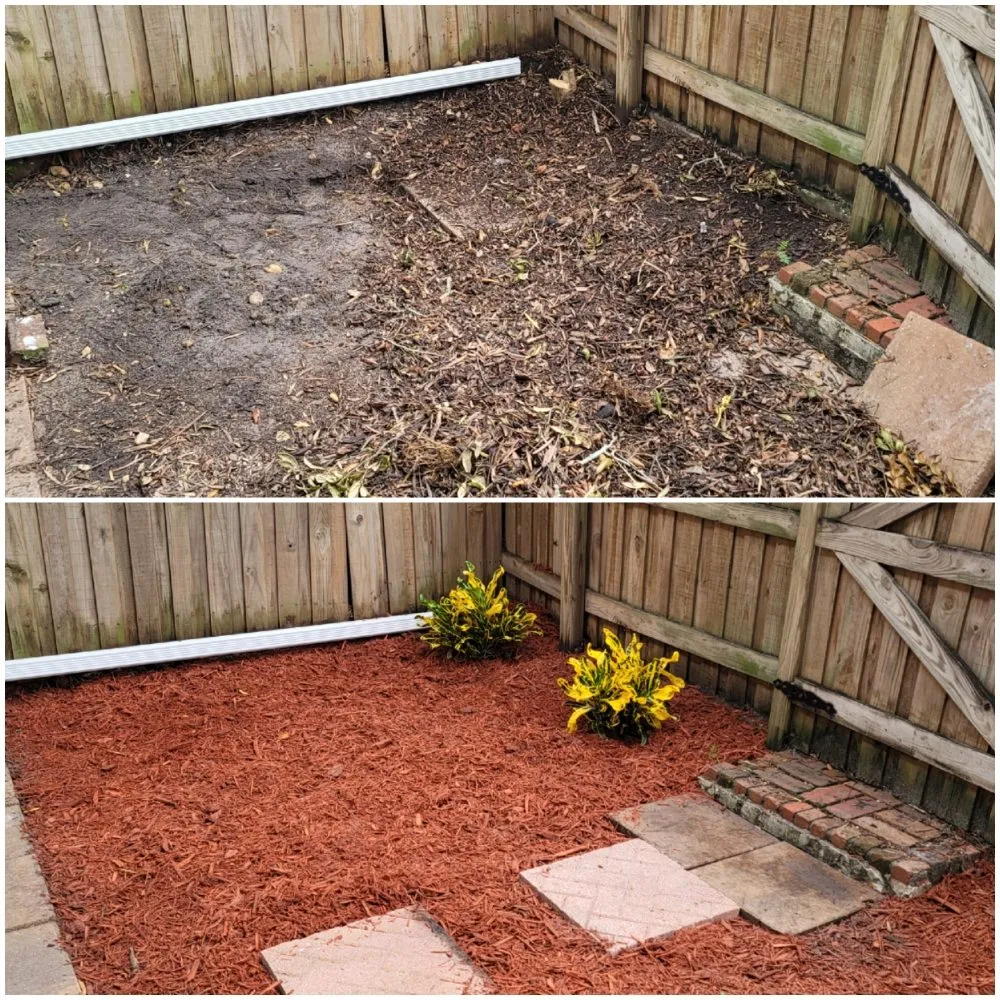 Local lawn care service experts serving Dunedin, FL - Shane's Lawn Care